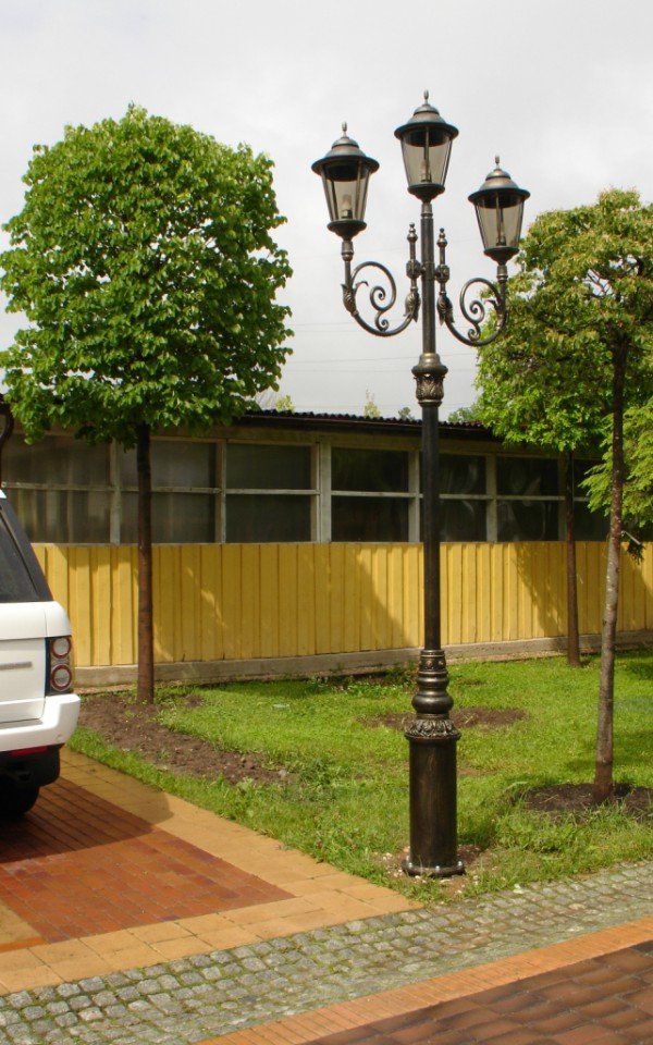 Опора освещения чугунная Авгий (высота 3 метра) - вид 4